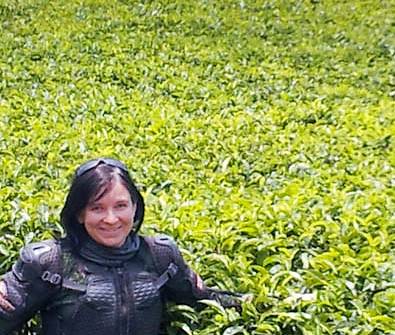 Danielle Murdoch, tea plantation.